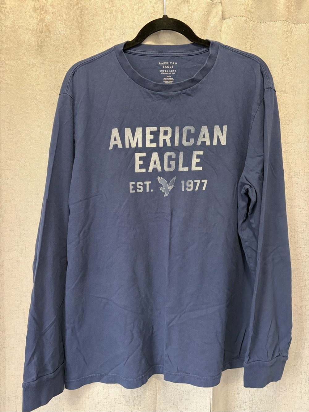 American Eagle Outfitters Blue Long-Sleeve Graphic Logo Tee